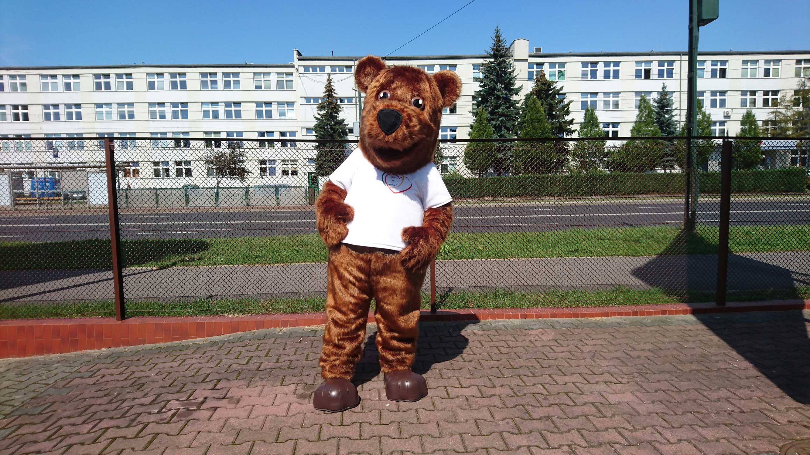 Najmodniejsze tej jesieni, bardzo wygodne kostiumy na zamówienie - prawdziwy hit! Miś!